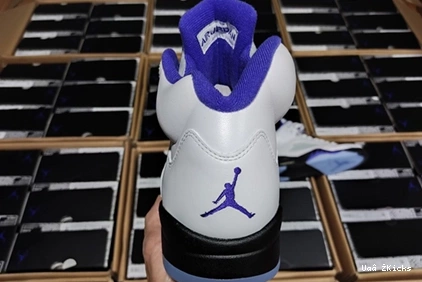 CONCORD 587 DD0587-141 Fashionable Air Jordan5 0815